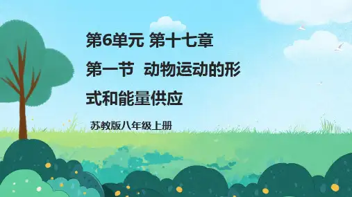 17.1  动物运动的形式和能量供应  课件-2024-2025学年苏教版生物八年级上册