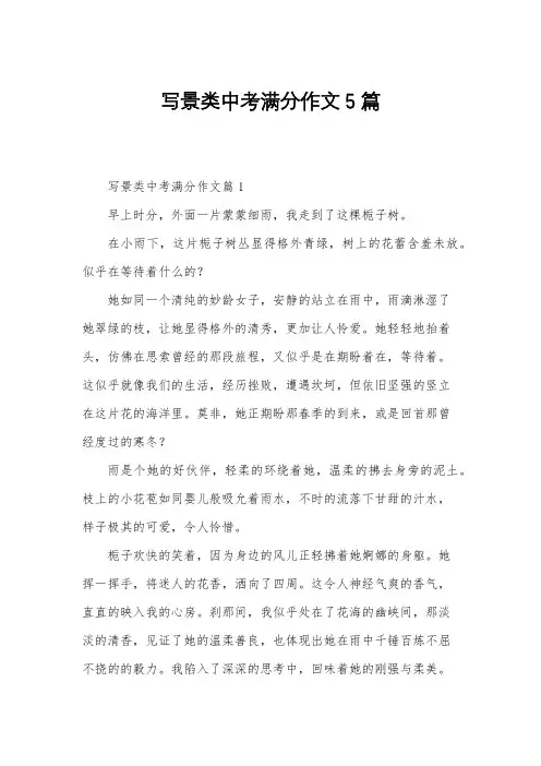 写景类中考满分作文5篇