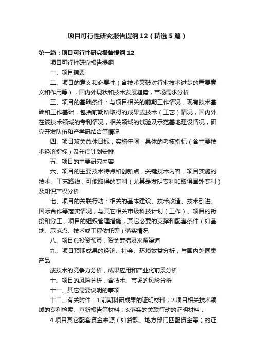 项目可行性研究报告提纲12（精选5篇）