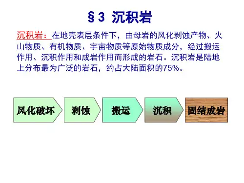 矿物和岩石实习 3 实践课 沉积岩12