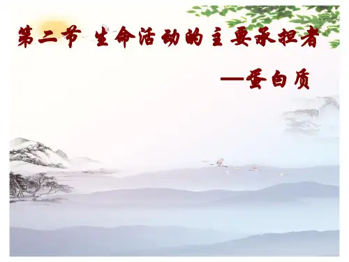 高中生物必修一第2章第2节生命活动的主要承担者——蛋白质  课件(共29张PPT)[优秀课件][优秀课件]