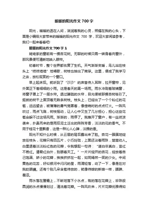 暖暖的阳光作文700字