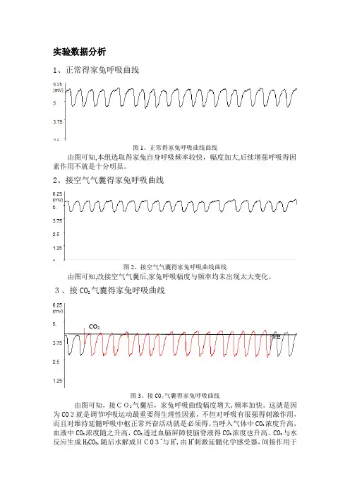 生理学实验：家兔呼吸运动的调节