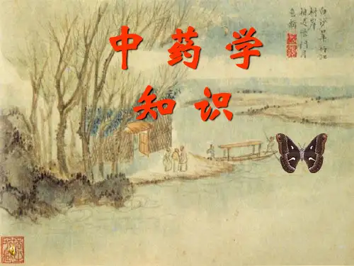 中药学基础知识