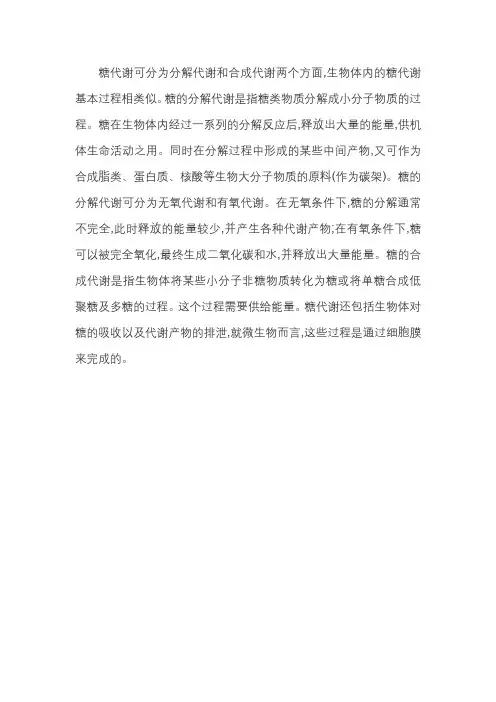 糖的代谢过程
