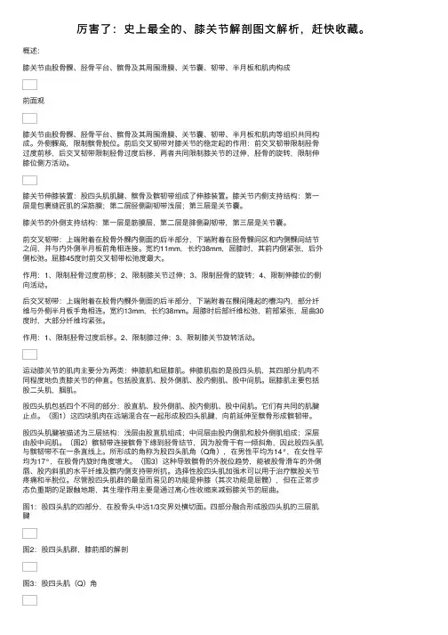 厉害了：史上最全的、膝关节解剖图文解析，赶快收藏。