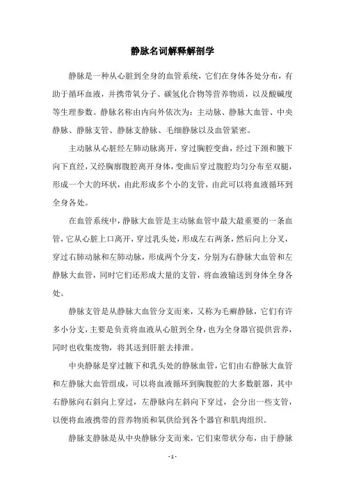 静脉名词解释解剖学