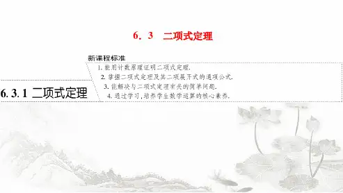 人教A版高中数学选择性必修第三册6-3-1二项式定理课件