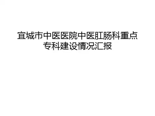 宜城市中医医院中医肛肠科重点专科建设情况汇报资料讲解
