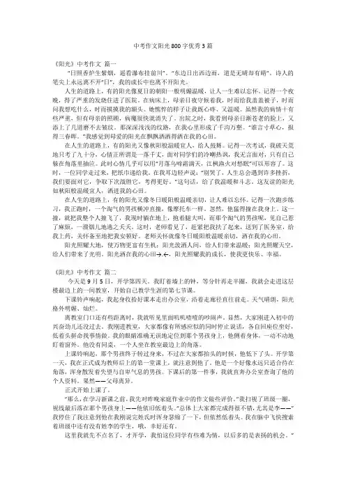 中考作文阳光800字优秀3篇