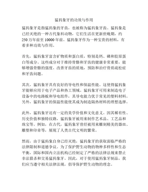 猛犸象牙的功效与作用