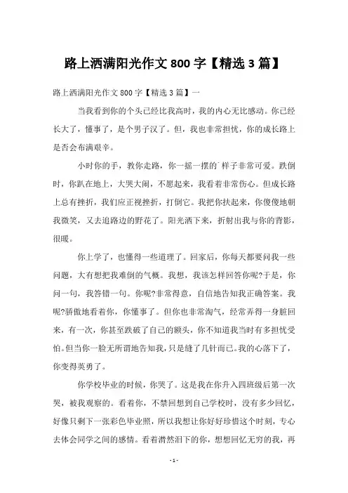 路上洒满阳光作文800字【3篇】