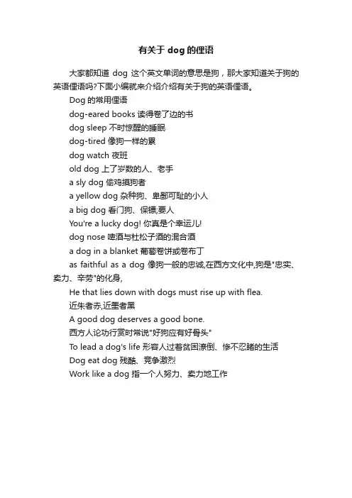 有关于dog的俚语