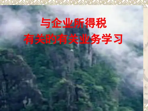企业常见涉税疑难问题处理和风险规避技巧