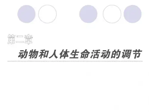 人教版教学课件2011年高考生物一轮复习同步课件必修3：第二章 第1节 通过神经系统的调节