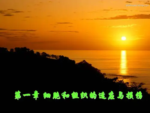 第一章适应与损伤