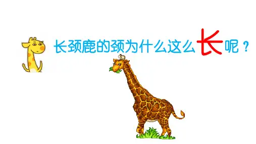 第三节生物进化的原因课件