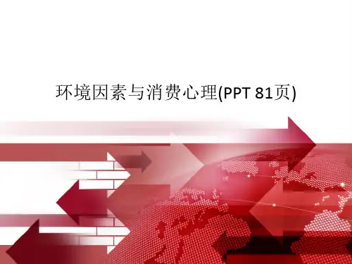 环境因素与消费心理