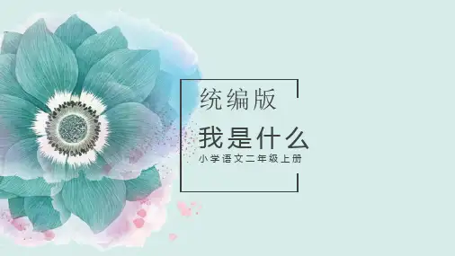 部编版二年级上册语文《我是什么》说课优质课件