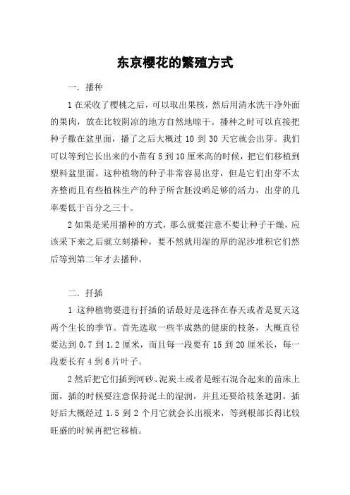 东京樱花的繁殖方式
