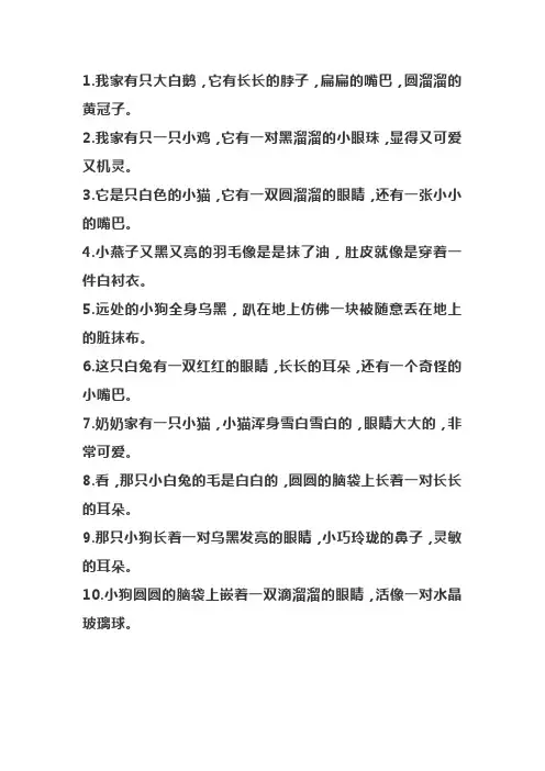 描写小动物的片段