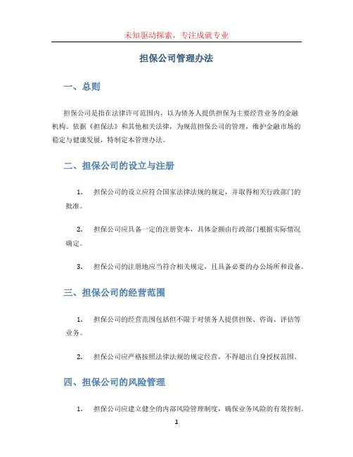 担保公司管理办法(1)