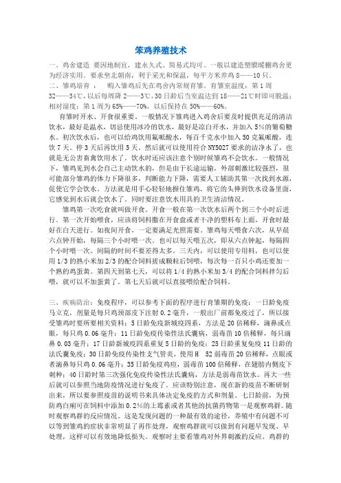 笨鸡养殖技术