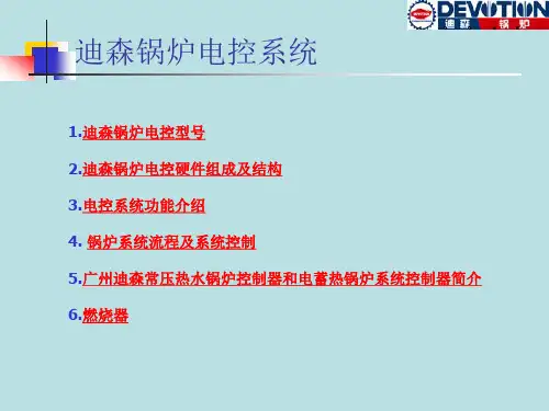迪森锅炉-电控系统