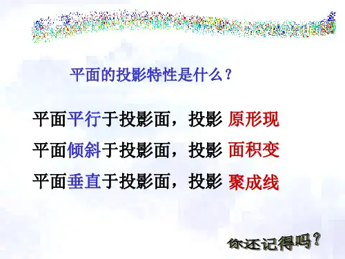 平面的投影特性是什么