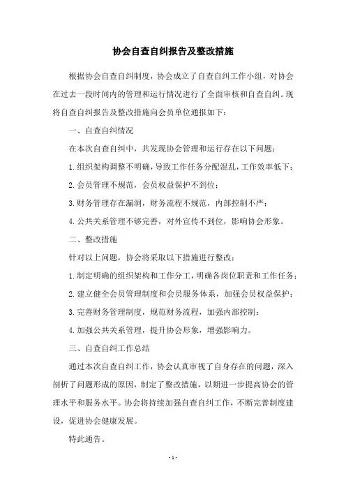 协会自查自纠报告及整改措施