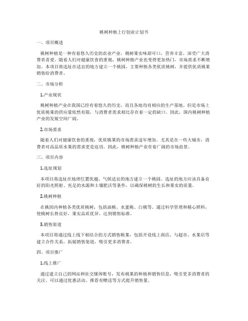 桃树种植上行创业计划书