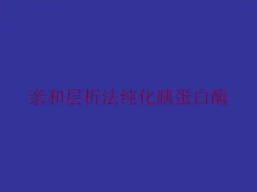 亲和层析法纯化胰蛋白酶培训课件
