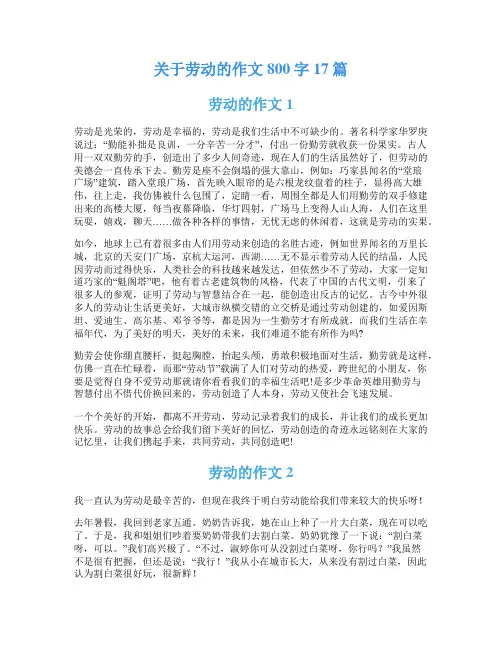 关于劳动的作文800字17篇