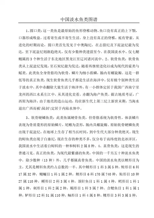 中国淡水鱼类图谱