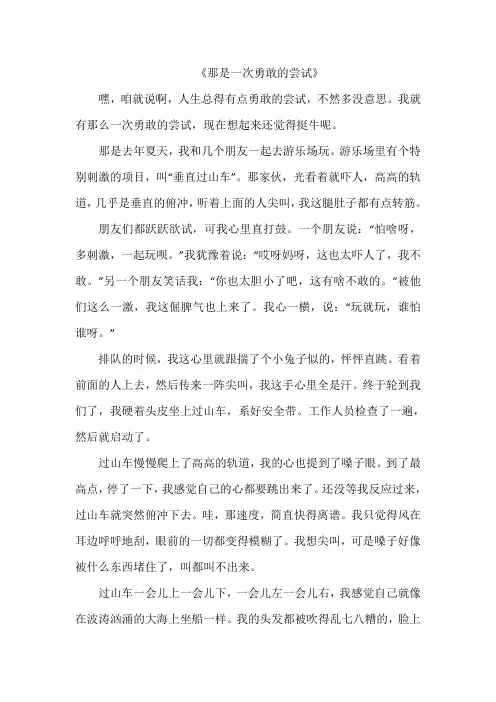 《那是一次勇敢的尝试》作文