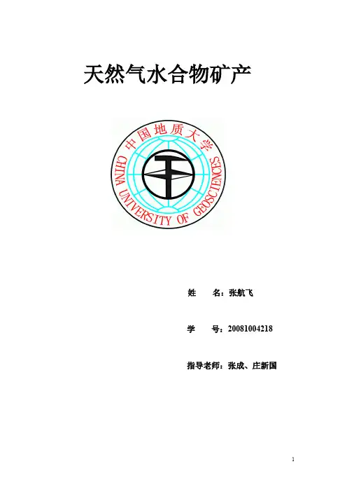 天然气水合物