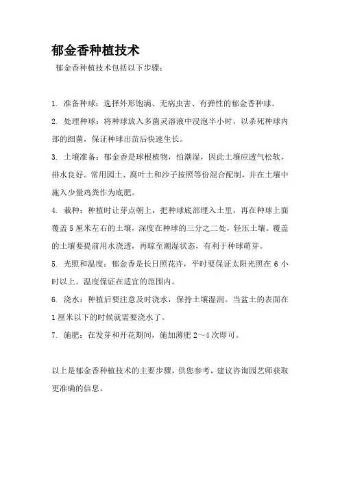 郁金香种植技术