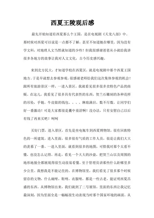 西夏王陵观后感