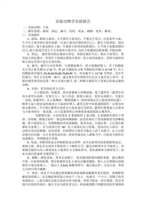 实验动物学实验报告