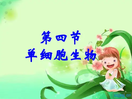 单细胞生物的结构和生活草履虫