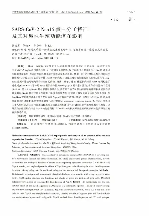 SARS-CoV-2 Nsp16蛋白分子特征及其对男性生殖功能潜在影响