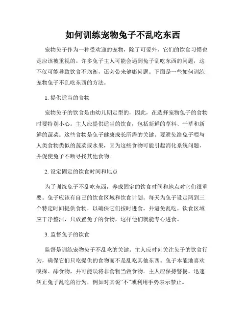 如何训练宠物兔子不乱吃东西