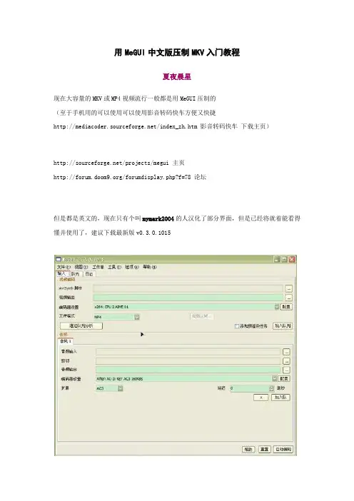 用MeGUI中文版压制MKV入门教程