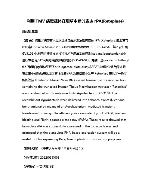利用TMV病毒载体在烟草中瞬时表达rPA(Reteplase)