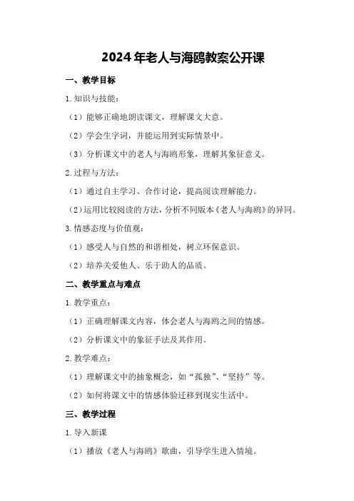 2024年老人与海鸥教案公开课
