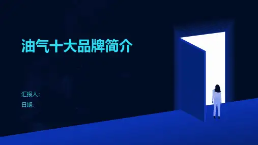 油气十大品牌简介