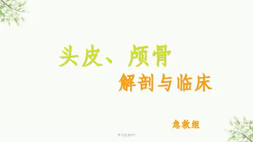 头皮和颅骨解剖课件