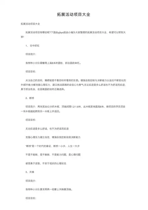 拓展活动项目大全
