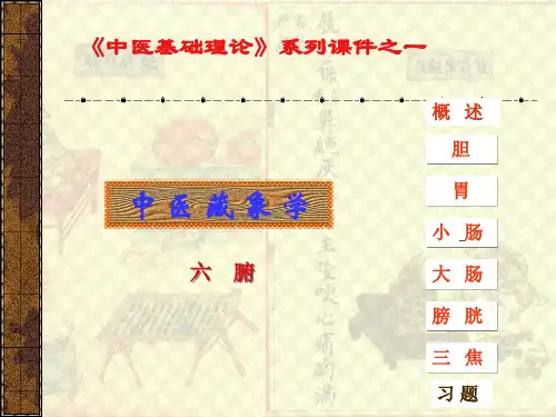六腑