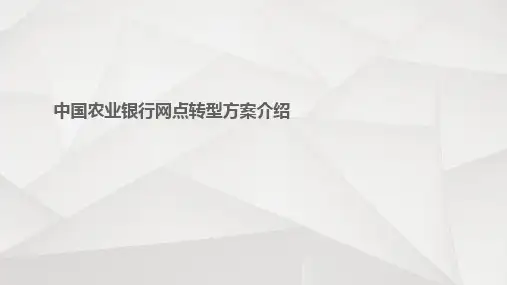 农业银行网点转型方案(经典)